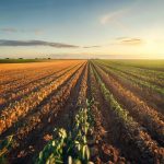 tableau de conversion hectares en m2